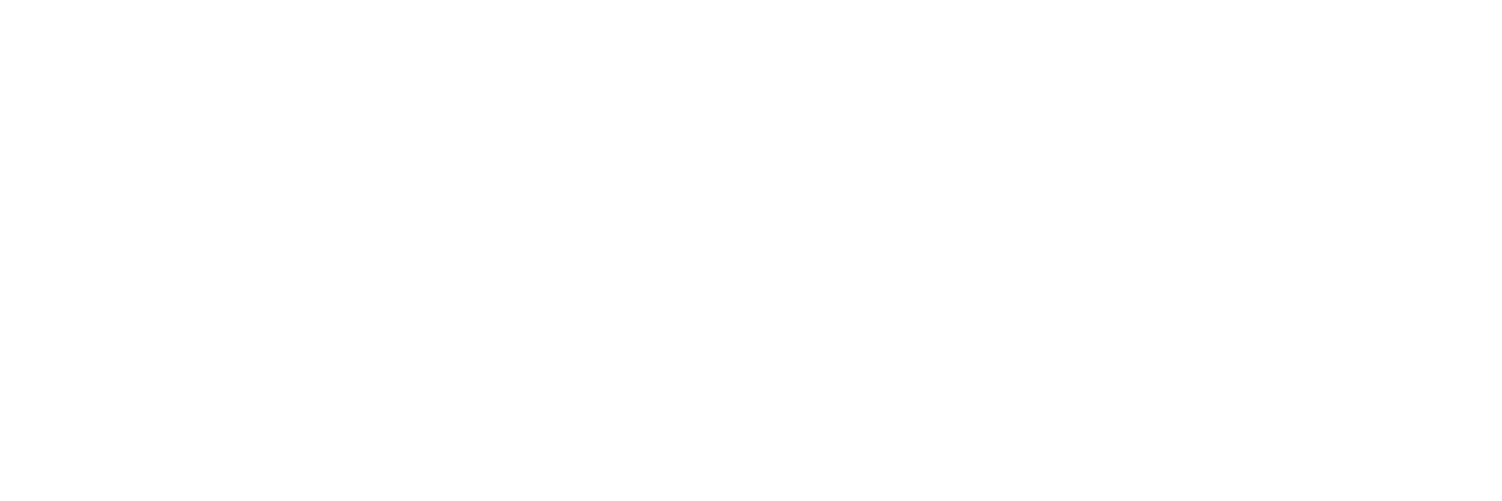 Primary Logo (White)